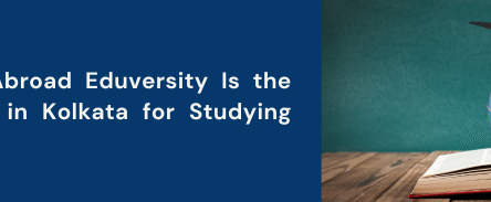 best abroad education consultancy in Kolkata